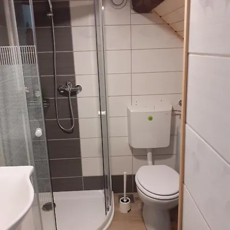 Tomas Old House - River Visoko (Sencur)