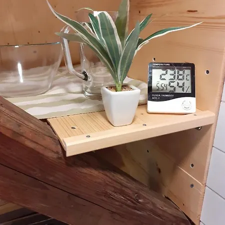 Tomas Old House - River 아파트