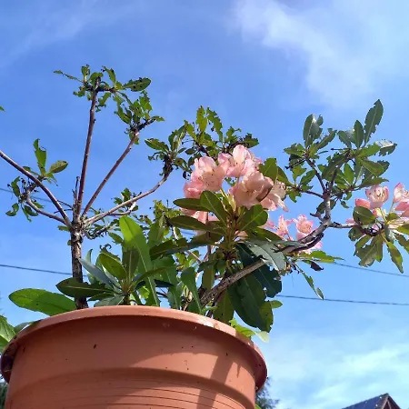 Tomas Old House - River