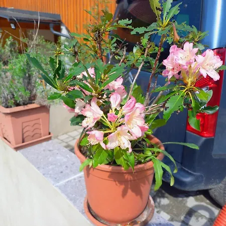 Tomas Old House - River Appartement *