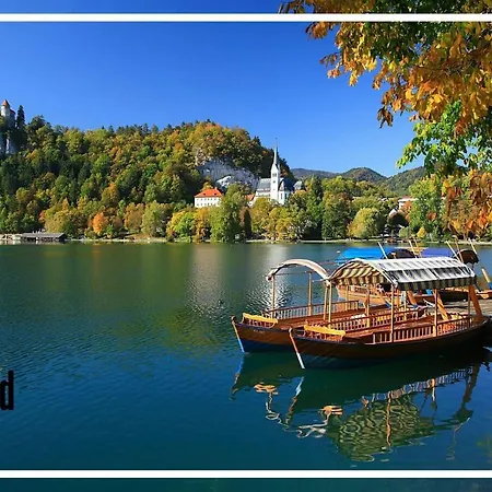 Apartment Tomas Old House - River Visoko (Sencur)
