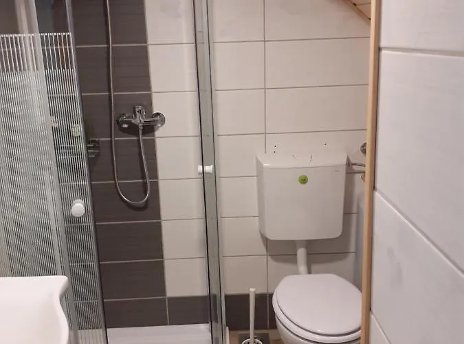 Tomas Old House - River Visoko (Sencur)