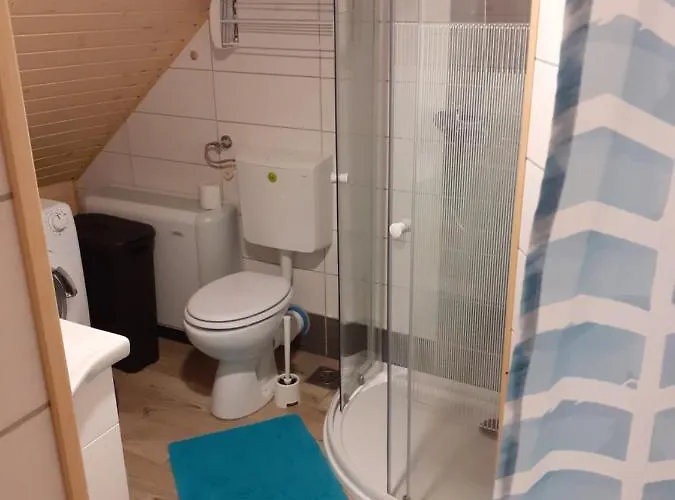 Apartamento Tomas Old House - River Visoko (Sencur)