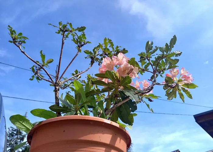 Tomas Old House - River