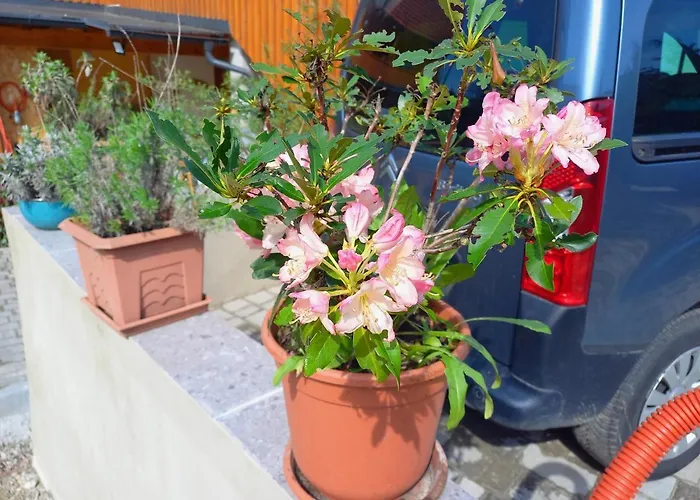 Tomas Old House - River Apartman *