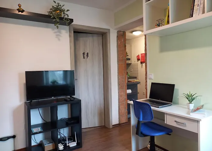 Apartman Tomas Old House - River Visoko